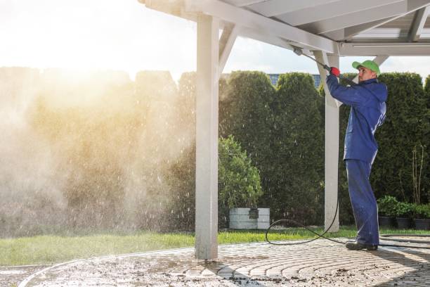 Best Animal Enclosure Cleaning  in Celina, OH